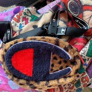 ⚡️ Champion Fanny Pack